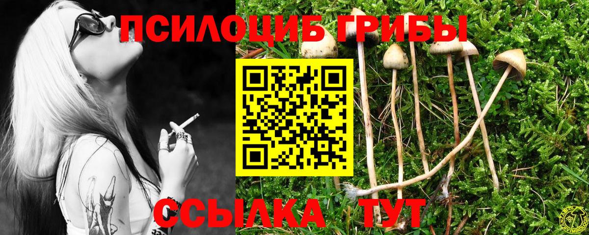 Псилоцибиновые грибы мухоморы  Галлюциногенные грибы Magic Shrooms  Вход с VPN  Джанкой 